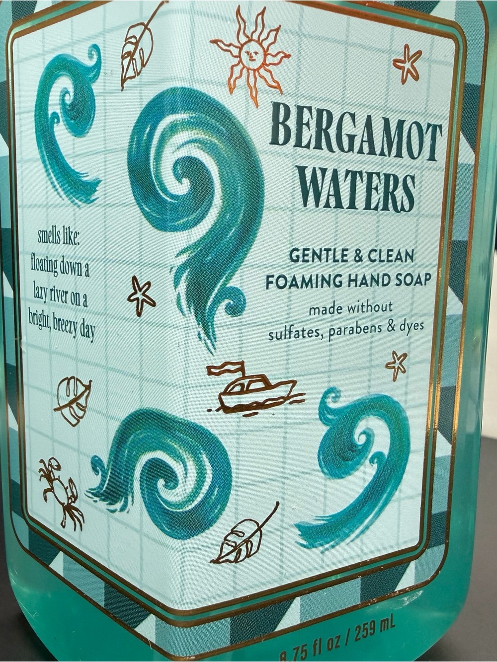Bath & Body Works Bergamot Waters Foaming Hand Soap - Teal & White